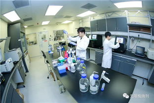 無(wú)限極水中銀生物安全評(píng)估平臺(tái)讓產(chǎn)品更安全