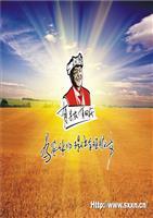 劉洋半年工作總結評估