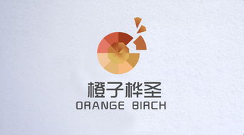 橙子網(wǎng)絡(luò)科技 信息技術(shù)驅(qū)動(dòng)的創(chuàng)新先鋒